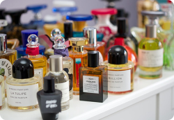 Perfume & Fragrances