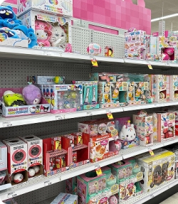 Toy & Gift stores